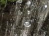 Waterfall, Cleveland Botanical Gardens, photo courtesy of Claes Roulet